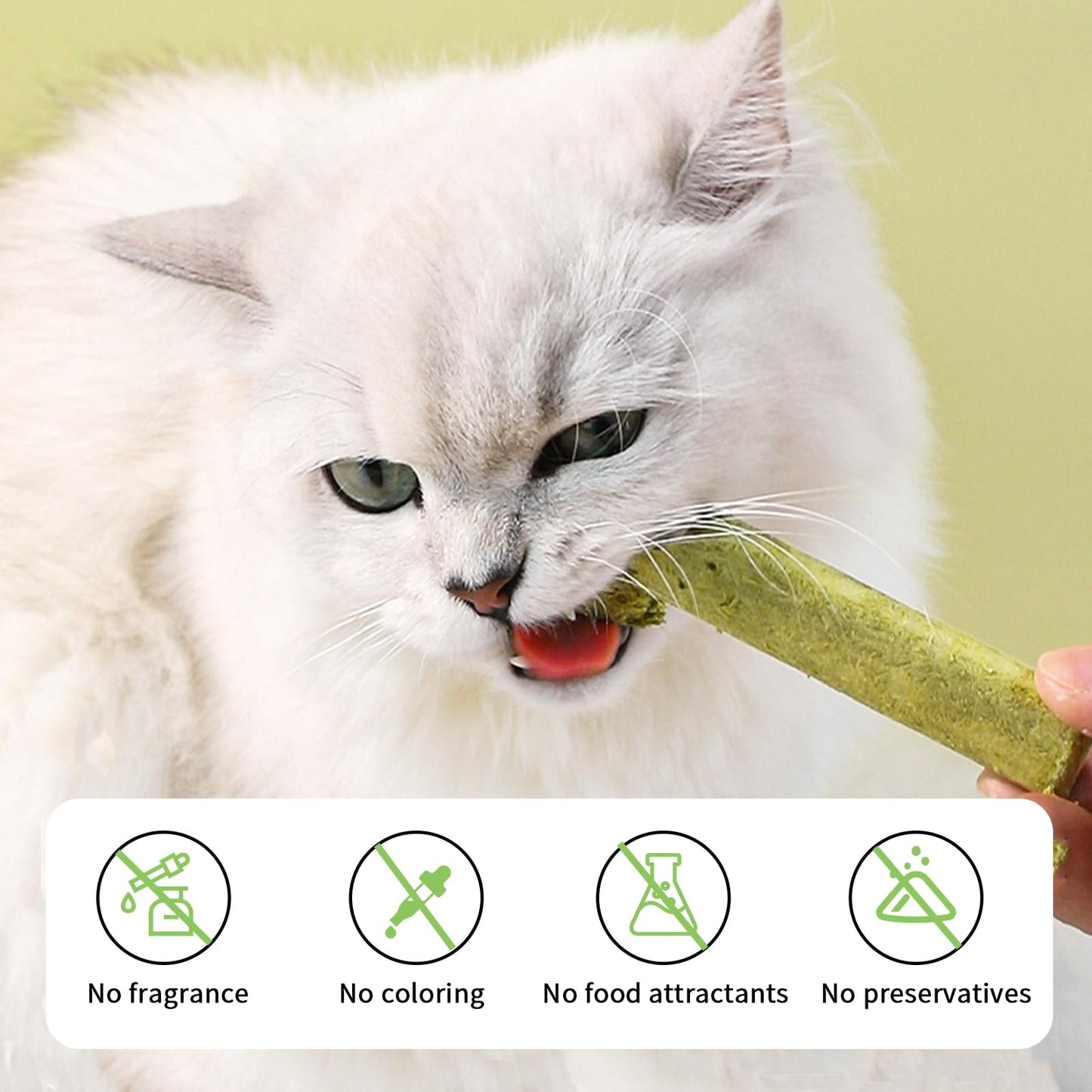 Cats’ Favorite Grass Teething Stick