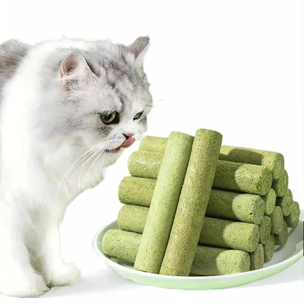 Cats’ Favorite Grass Teething Stick