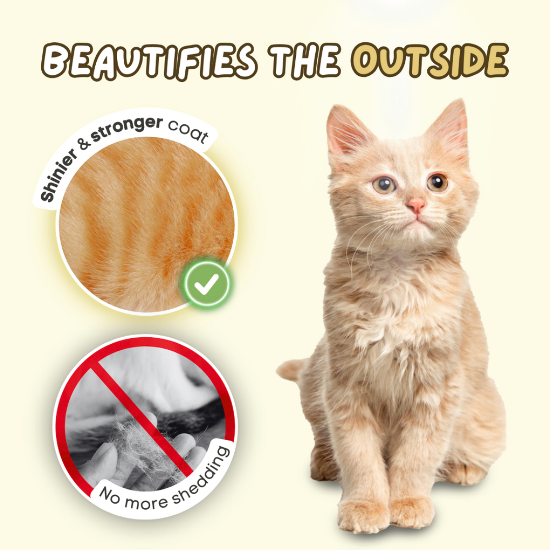 Creamy Omega-3 Fish Oil Pump for Cats