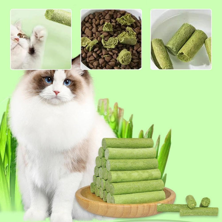 Cats’ Favorite Grass Dental Treat