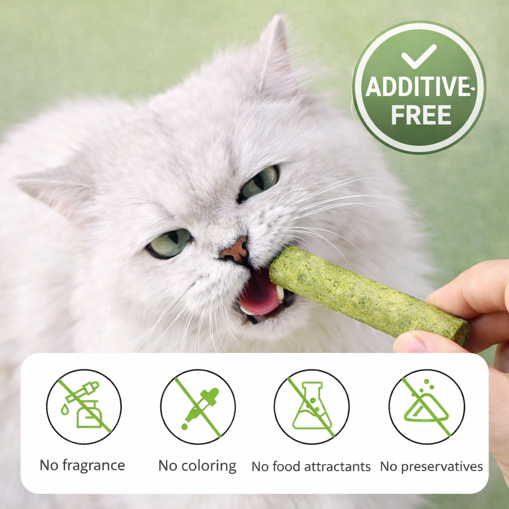 Cats’ Favorite Grass Teething Stick