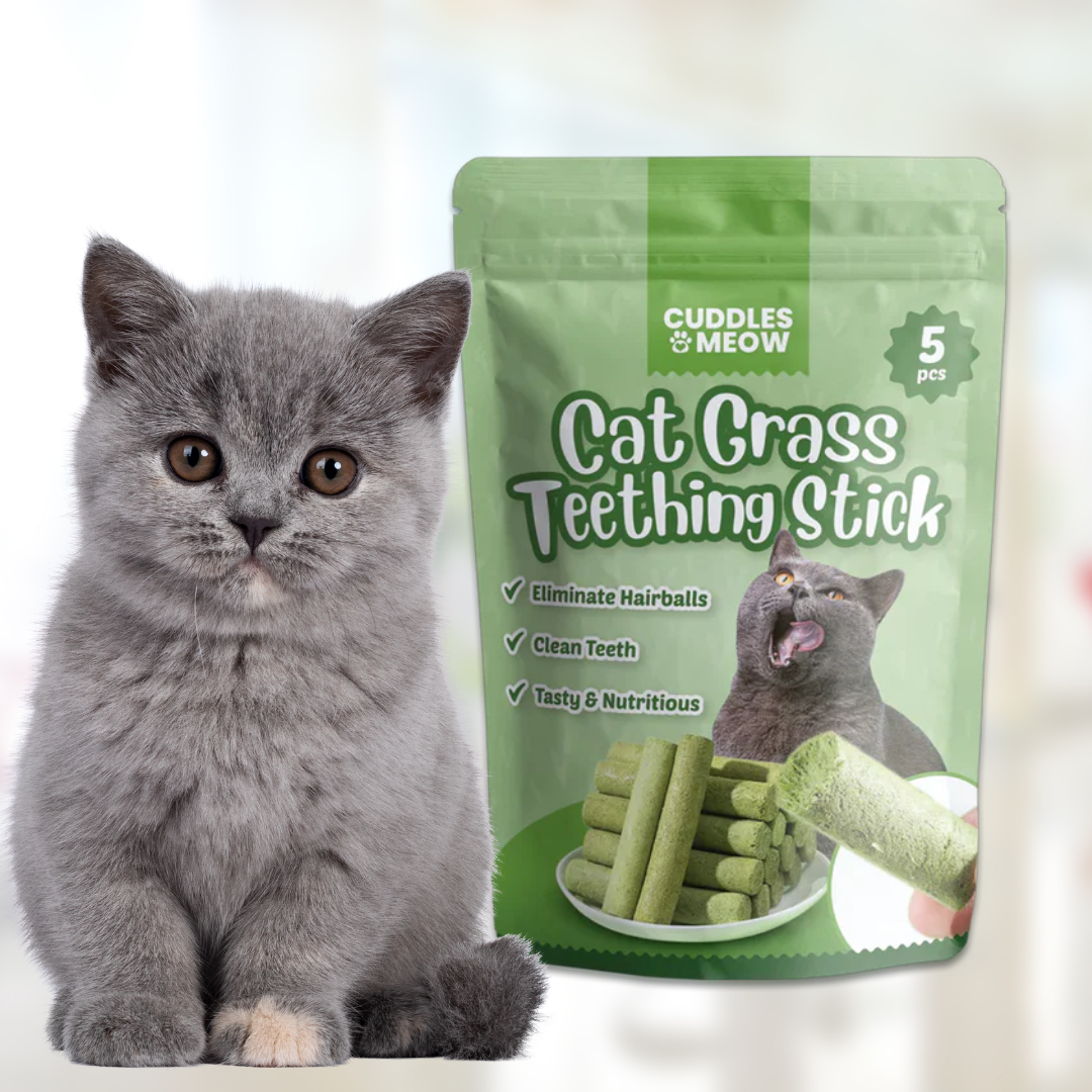 Cats’ Favorite Grass Dental Treat