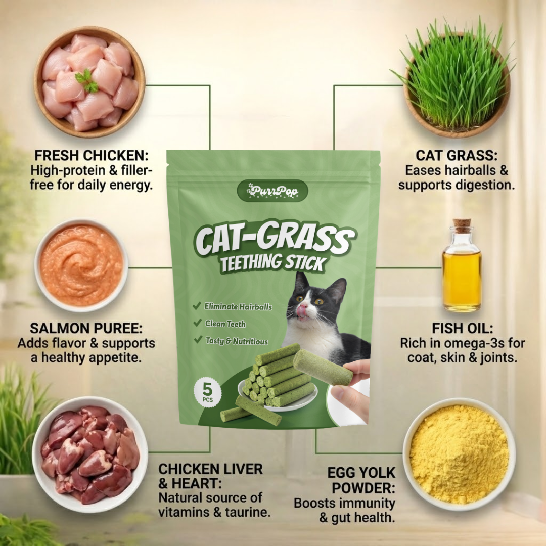 Cats’ Favorite Grass Teething Stick